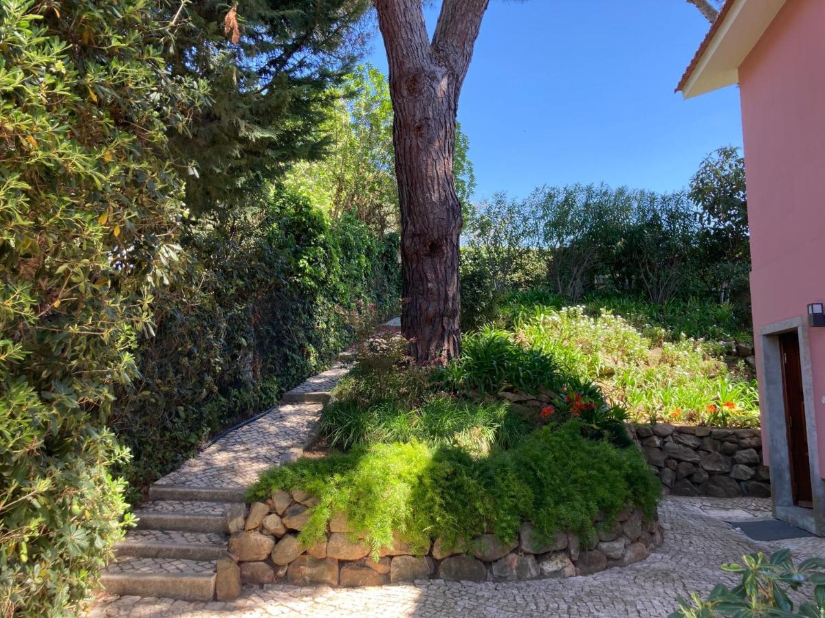 Apartment Quiet With Garden 8 Min From *