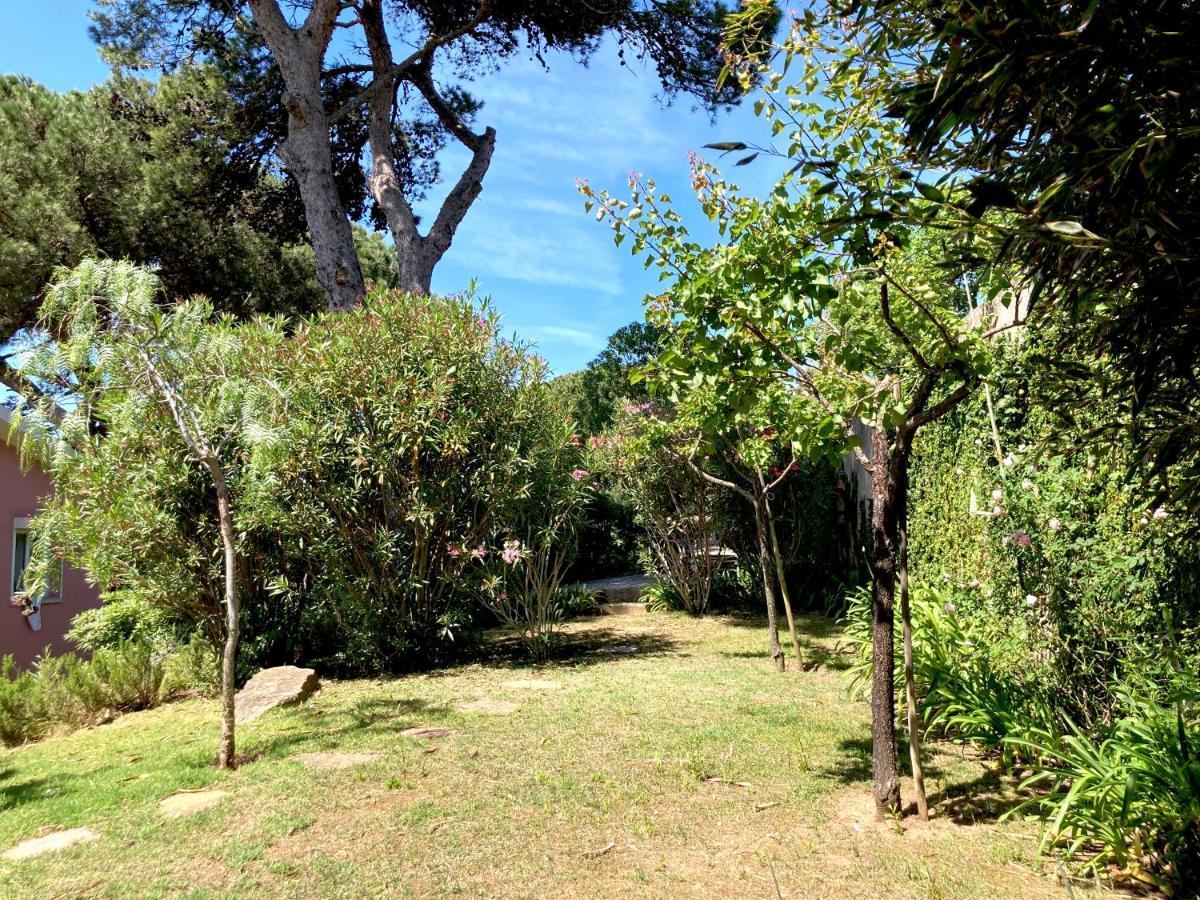 Quiet With Garden 8 Min From Apartment